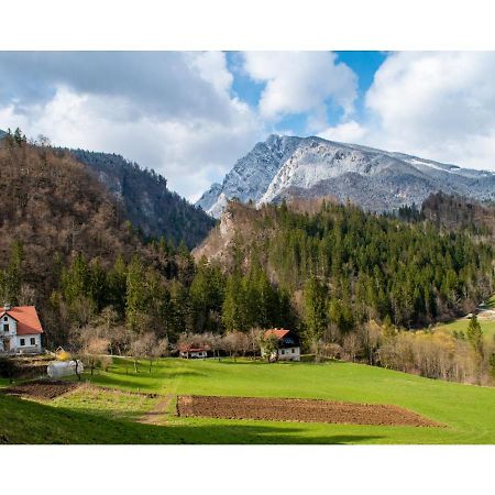 Turisticna Kmetija Stoglej Villa Luče Exteriör bild