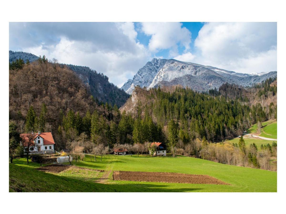 Turisticna Kmetija Stoglej Villa Luče Exteriör bild