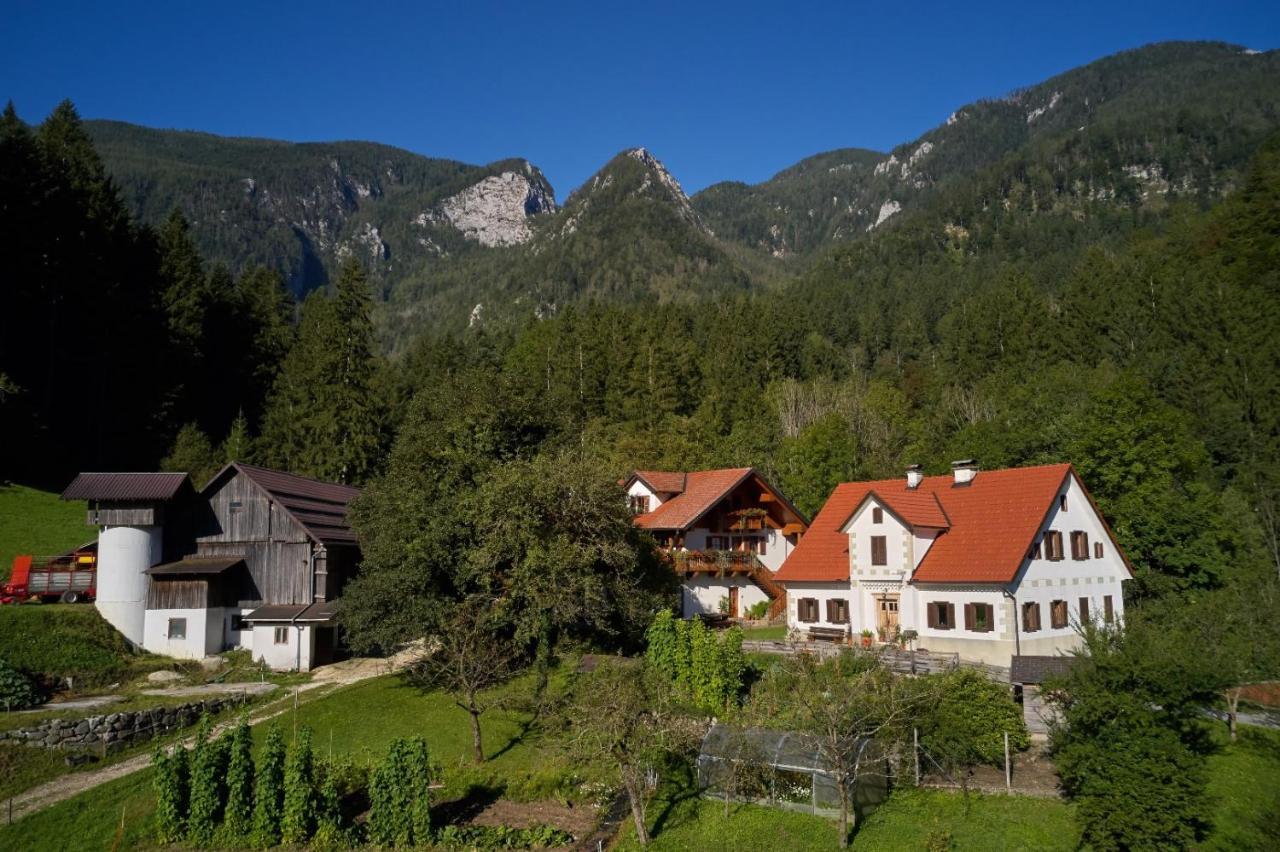 Turisticna Kmetija Stoglej Villa Luče Exteriör bild