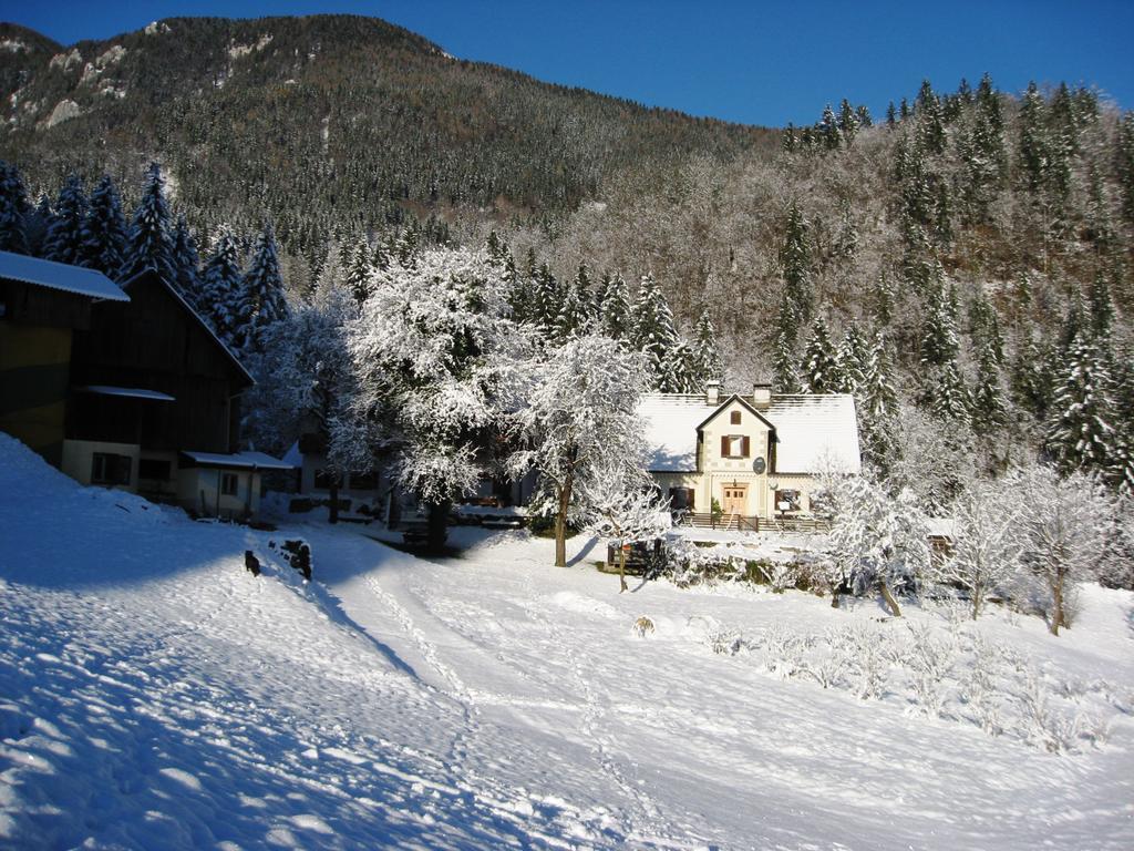 Turisticna Kmetija Stoglej Villa Luče Exteriör bild