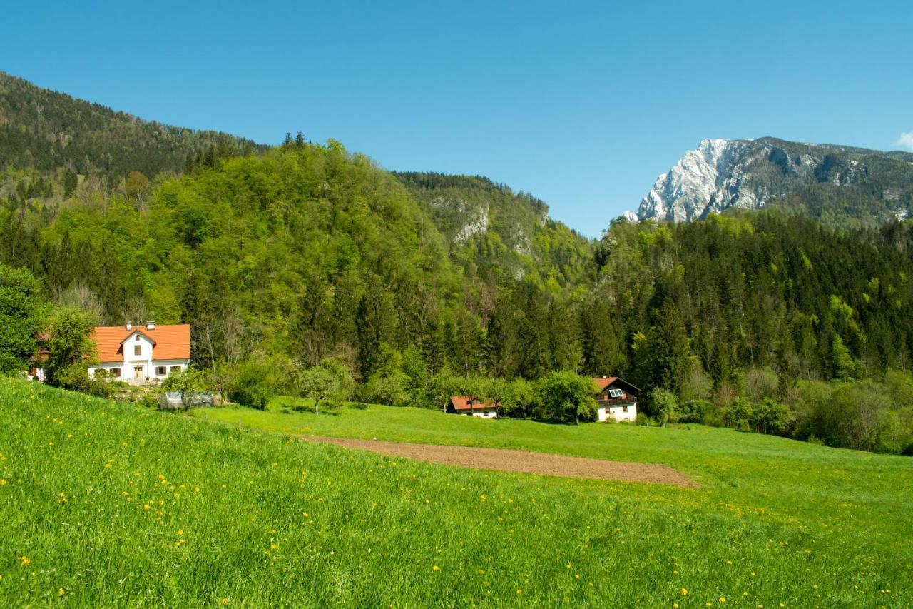 Turisticna Kmetija Stoglej Villa Luče Exteriör bild