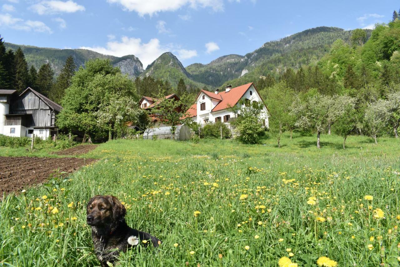 Turisticna Kmetija Stoglej Villa Luče Exteriör bild